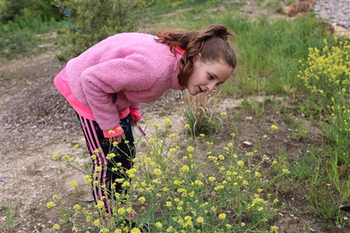  girl looks a flowers