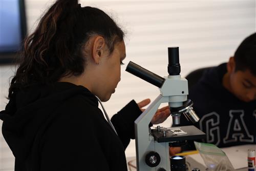 A girl looks through a microscope