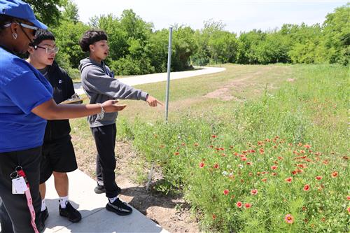 Two boys and a female teacher look at flowers