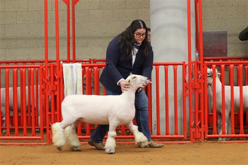Student with their animal at the FWSSR 2025