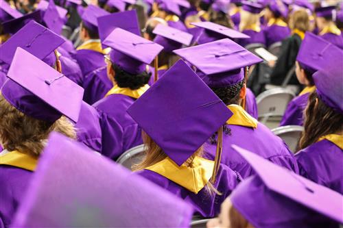 Purple graduation hats