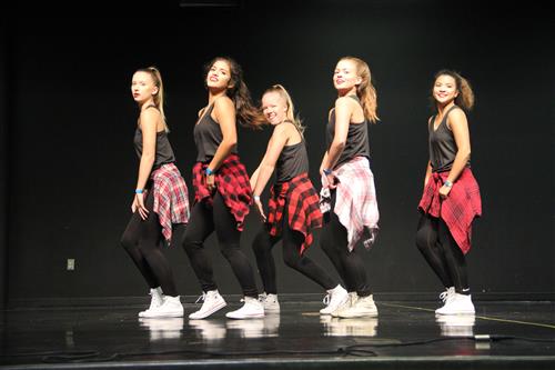 Saginaw Starsteppers perform at Taste of Northwest.  