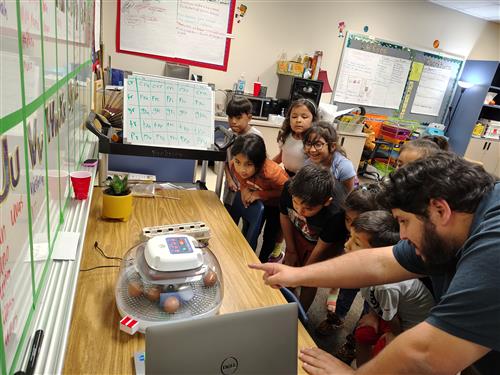 Students and a teacher watch an incubator full of eggs