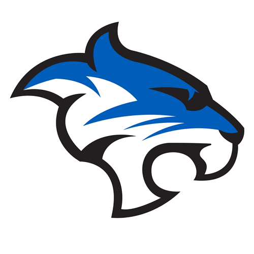 A profile of a cat with white, blue and black