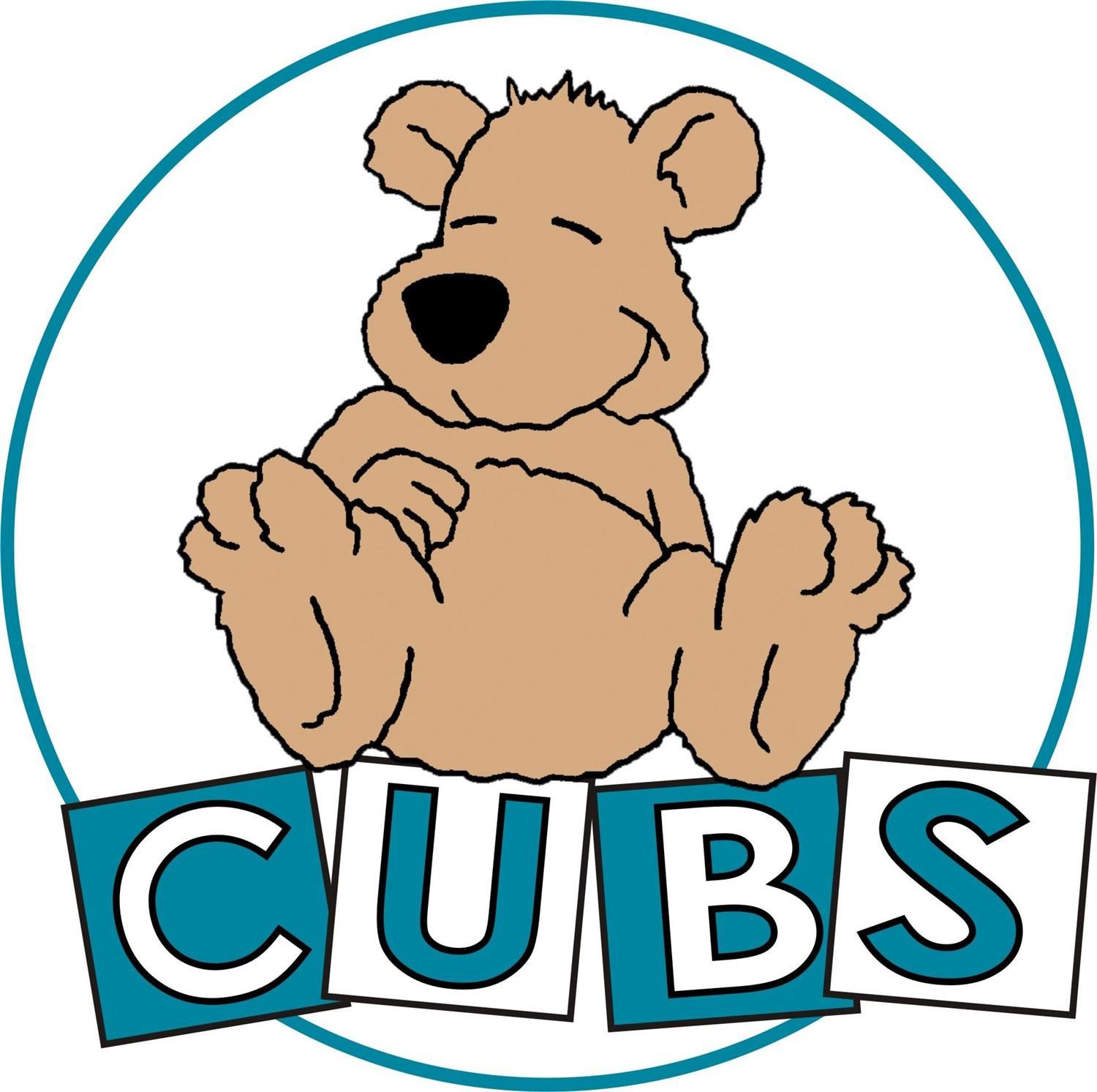 CUBS blocks and bear inside circle