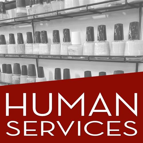 Human Services 