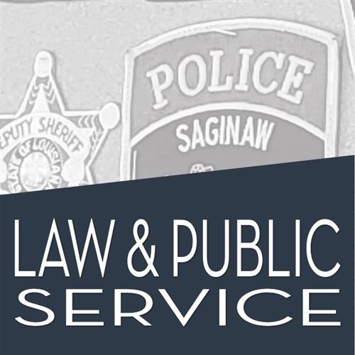 Law and Public Service 